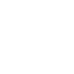 Moustache